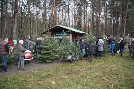 Eröffnung der Weihnachtsbaumsaison in Naunhof
